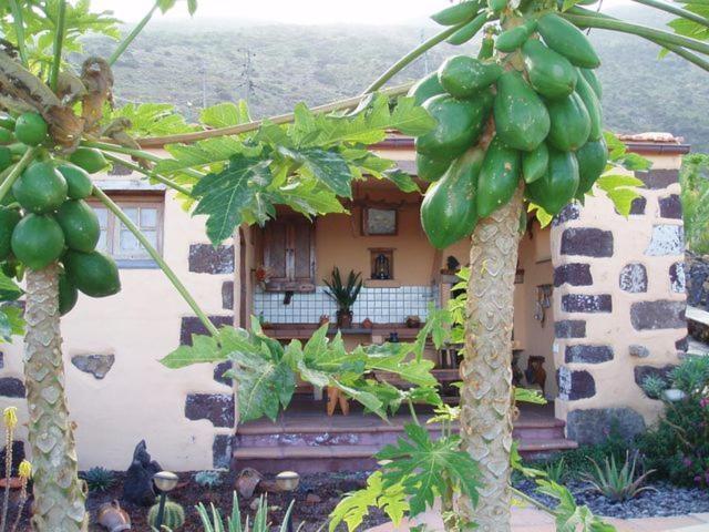 Casa de Mi Abuela Maria Hostal La La Frontera Exterior foto